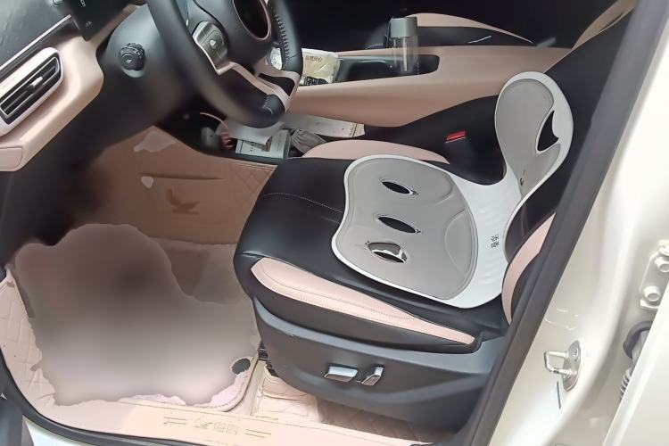 Used BYD Seagull 2025 305 km Free Version Left Front Seat