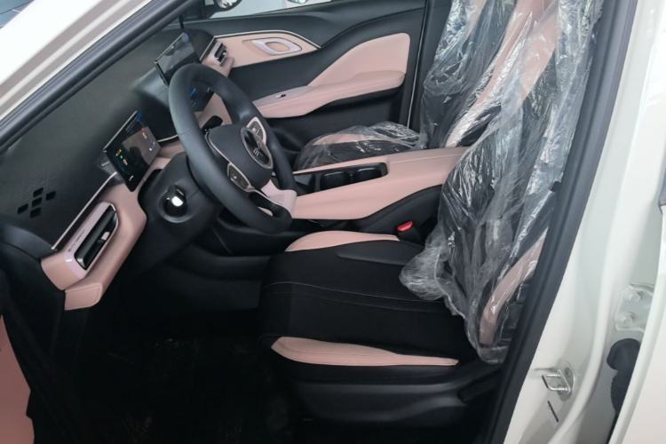 Used BYD Seagull 2025 Intelligent Driving Version 305 km Dynamic Edition Left Front Seat