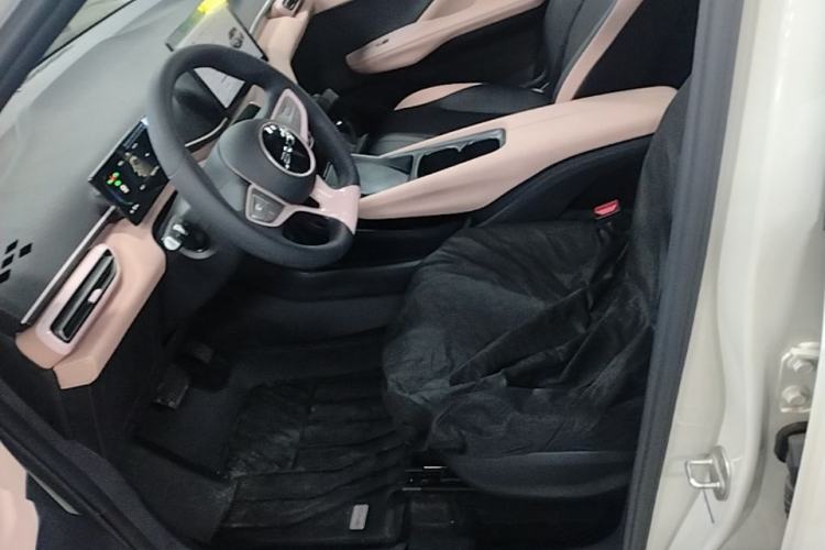 Used BYD Seagull 2025 Intelligent Driving Version 305 km Dynamic Edition Left Front Seat