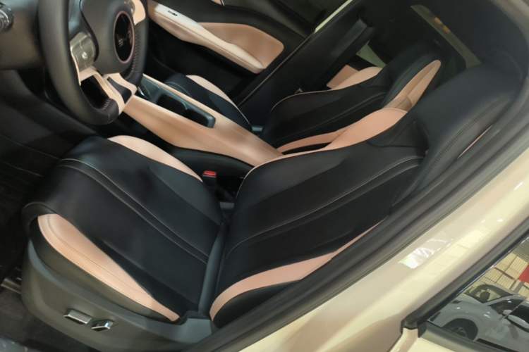 Used BYD Seagull 2025 305 km Free Version Left Front Seat
