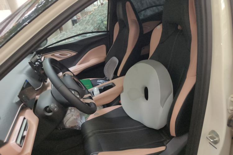 Used BYD Seagull 2025 305 km Free Version Left Front Seat