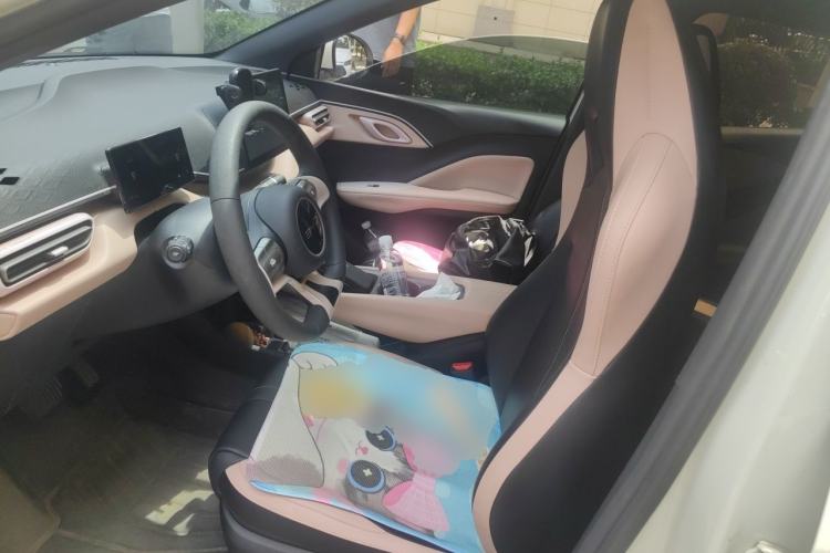 Used BYD Seagull 2025 305km Active Version Left Front Seat