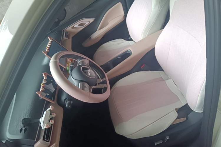 Used BYD Seagull 2025 305 km Free Version Left Front Seat