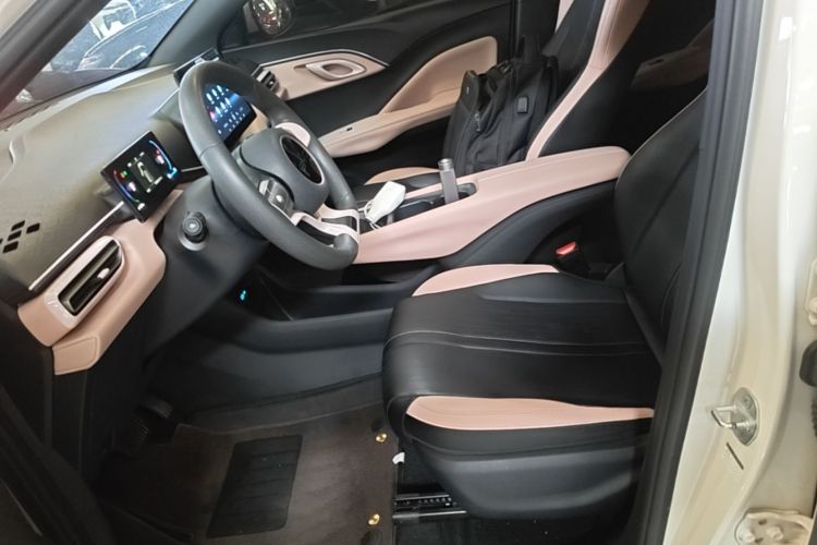 Used BYD Seagull 2025 305km Active Version Left Front Seat