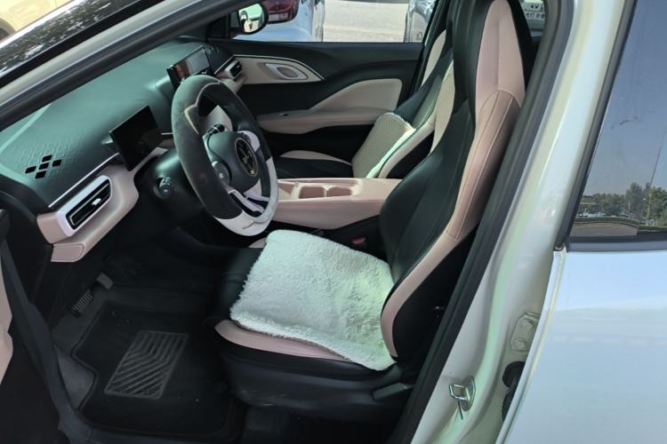 Used BYD Seagull 2025 305km Active Version Left Front Seat