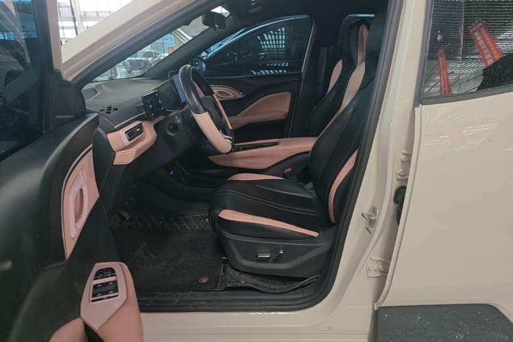 Used BYD Seagull 2025 305 km Free Version Left Front Seat