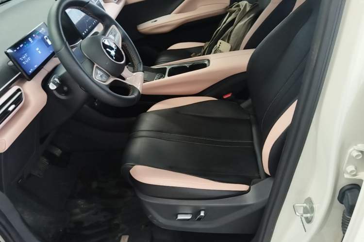 Used BYD Seagull 2025 Smart Drive Version 305 km Freedom Edition Left Front Seat