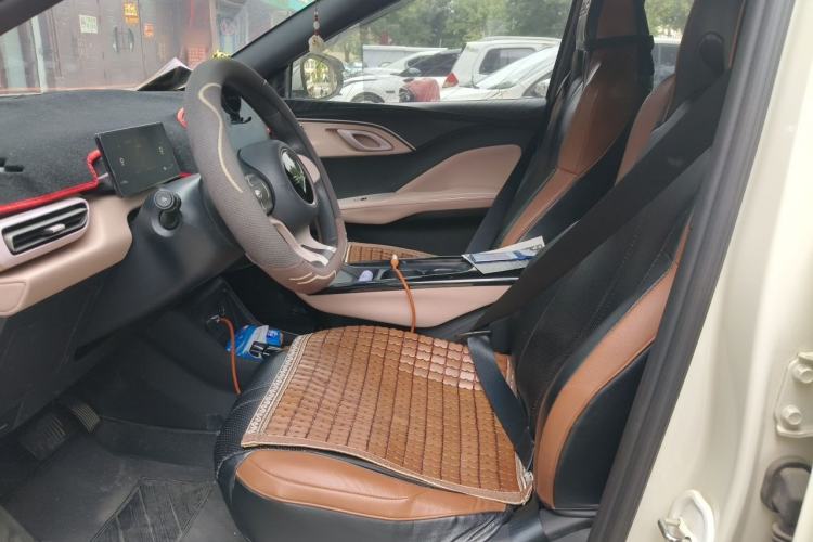 Used BYD Seagull 2025 305km Active Version Left Front Seat