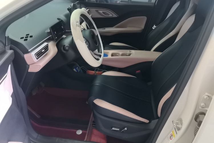 Used BYD Seagull 2025 405 km Flying Edition Left Front Seat