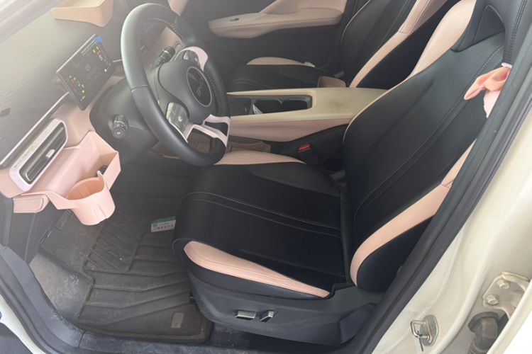 Used BYD Seagull 2025 305 km Free Version Left Front Seat