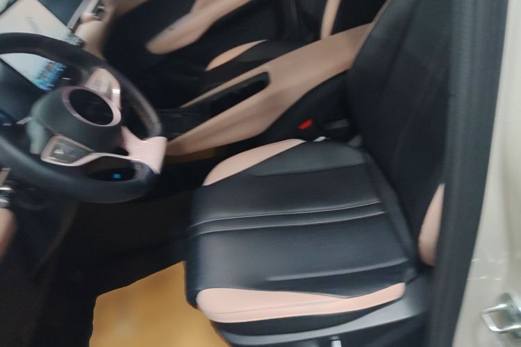 Used BYD Seagull 2025 Smart Drive Version 305 km Freedom Edition Left Front Seat