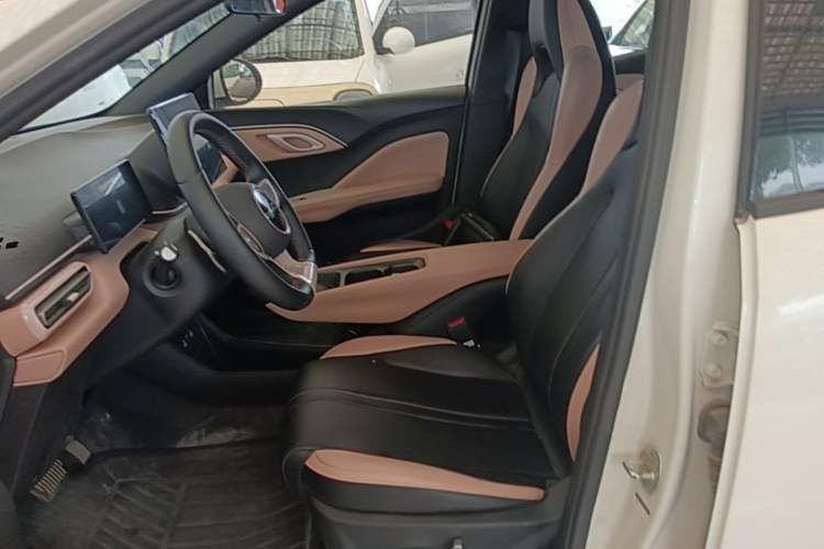 Used BYD Seagull 2025 Smart Drive Version 305 km Freedom Edition Left Front Seat