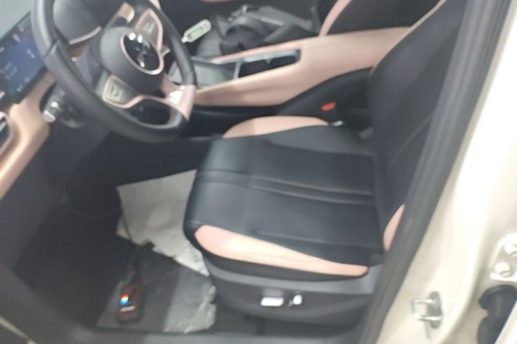 Used BYD Seagull 2025 Smart Drive Version 305 km Freedom Edition Left Front Seat