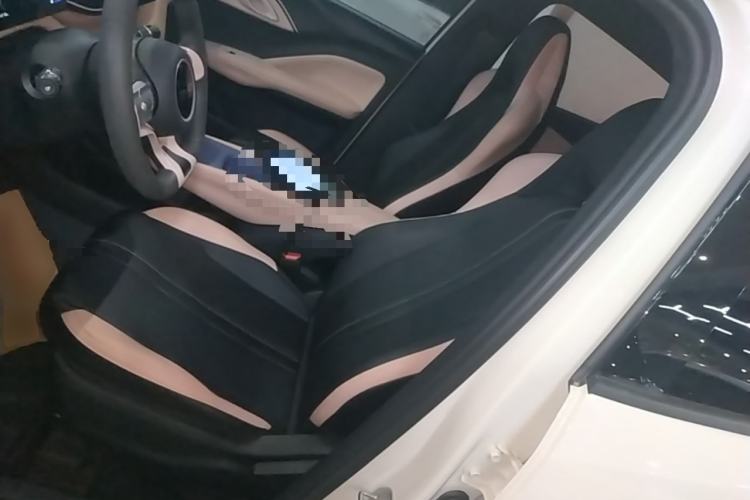 Used BYD Seagull 2025 305km Active Version Left Front Seat