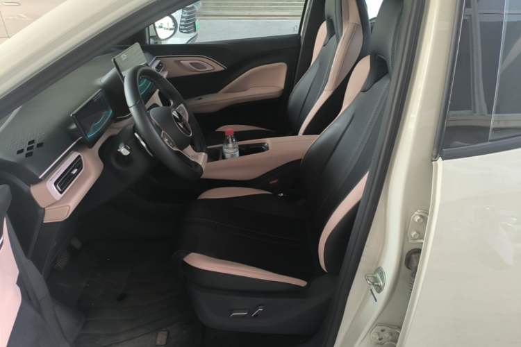 Used BYD Seagull 2025 Smart Drive Version 305 km Freedom Edition Left Front Seat