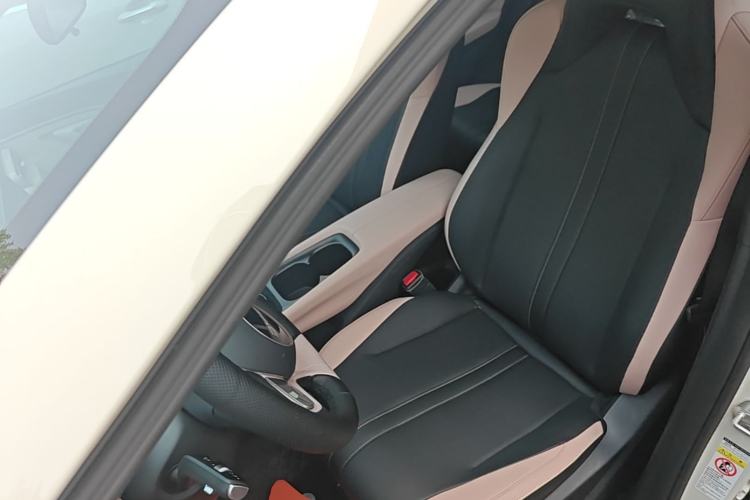 Used BYD Seagull 2025 Model Smart Drive Version 405km Free-Spirited Version Left Front Seat