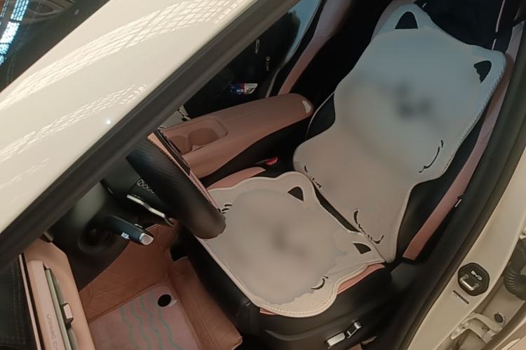 Used BYD Seagull 2025 Smart Drive Version 305 km Freedom Edition Left Front Seat