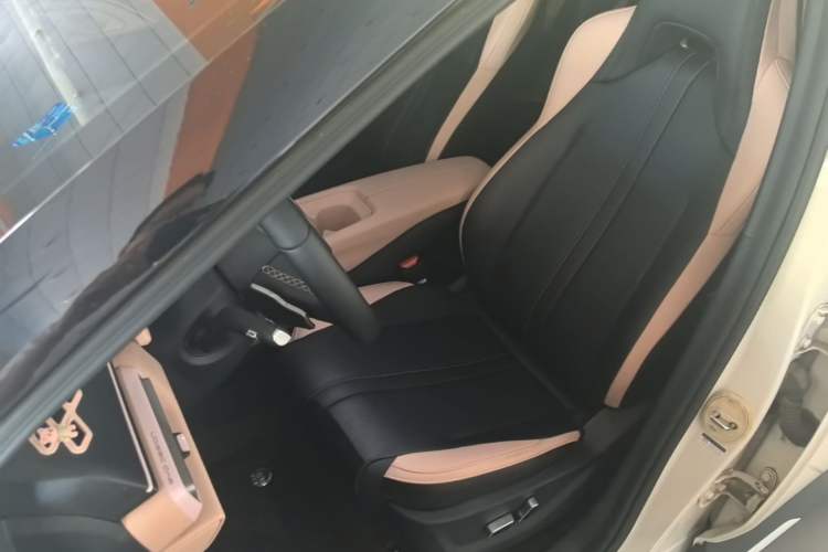Used BYD Seagull 2025 Smart Drive Version 305 km Freedom Edition Left Front Seat