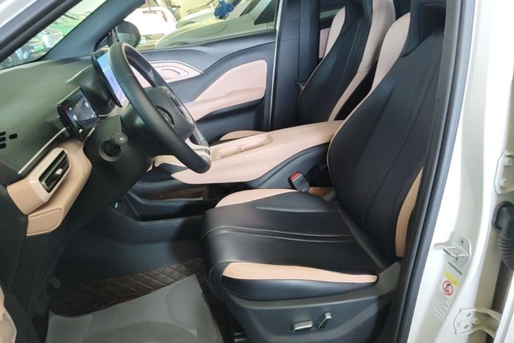 Used BYD Seagull 2025 405 km Flying Edition Left Front Seat