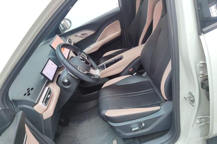 Used BYD Seagull 2025 Smart Drive Version 305 km Freedom Edition Left Front Seat