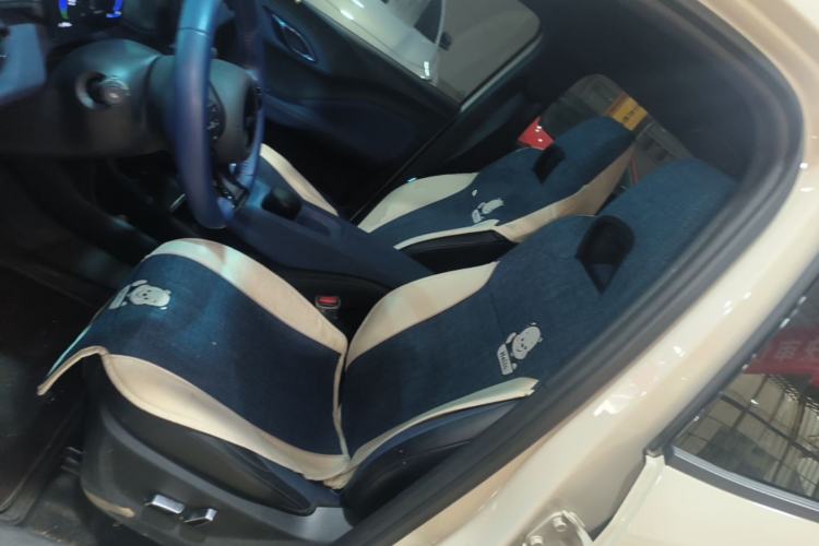 Used BYD Seagull 2025 305 km Free Version Left Front Seat