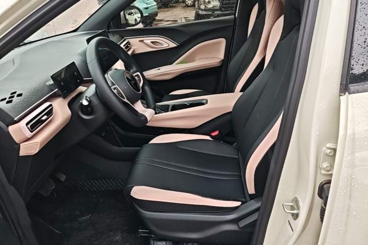 Used BYD Seagull 2025 Intelligent Driving Version 305 km Dynamic Edition Left Front Seat