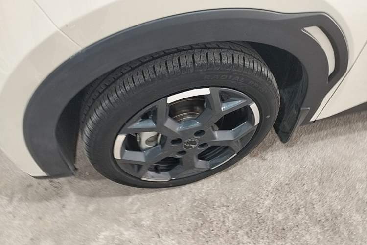 Used BYD Seagull 2025 305 km Free Version Left Front Wheel Hub