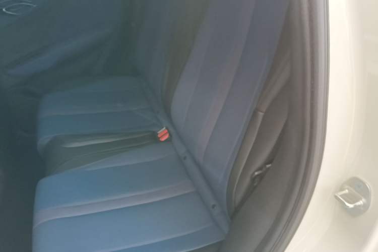 Used BYD Seagull 2025 305 km Free Version Left Rear Seat