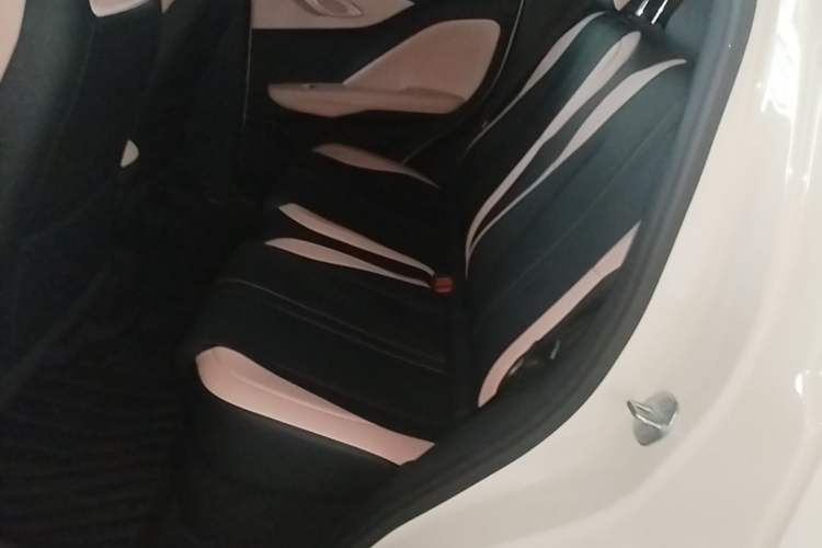 Used BYD Seagull 2025 Intelligent Driving Version 305 km Dynamic Edition Left Rear Seat