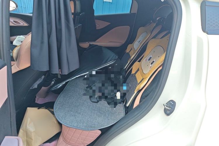 Used BYD Seagull 2025 305km Active Version Left Rear Seat