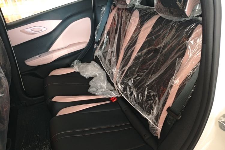 Used BYD Seagull 2025 Intelligent Driving Version 305 km Dynamic Edition Left Rear Seat
