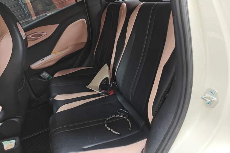 Used BYD Seagull 2025 305 km Free Version Left Rear Seat