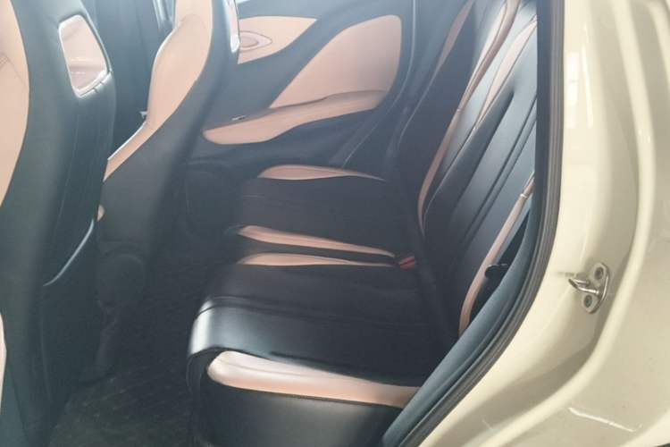Used BYD Seagull 2025 305km Active Version Left Rear Seat