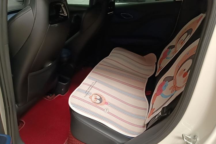 Used BYD Seagull 2025 Intelligent Driving Version 305 km Dynamic Edition Left Rear Seat