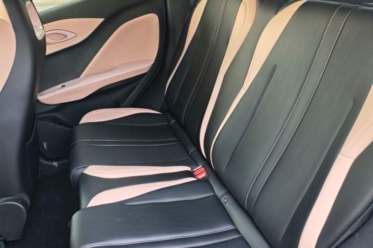 Used BYD Seagull 2025 305 km Free Version Left Rear Seat