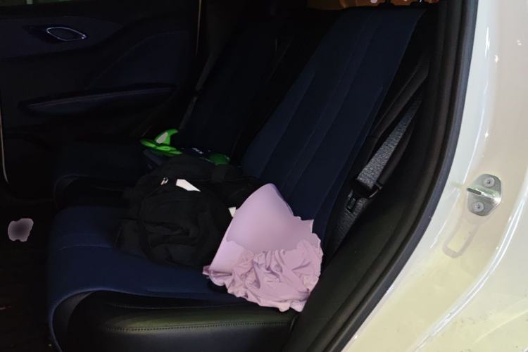 Used BYD Seagull 2025 305km Active Version Left Rear Seat