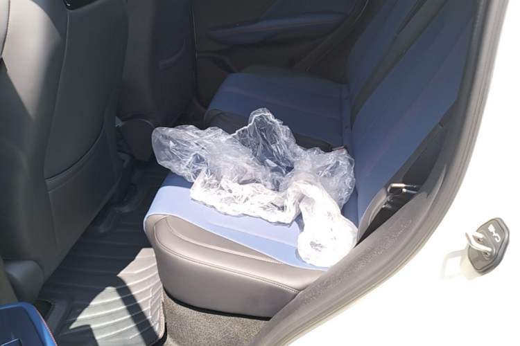 Used BYD Seagull 2025 Model Smart Drive Version 405km Free-Spirited Version Left Rear Seat