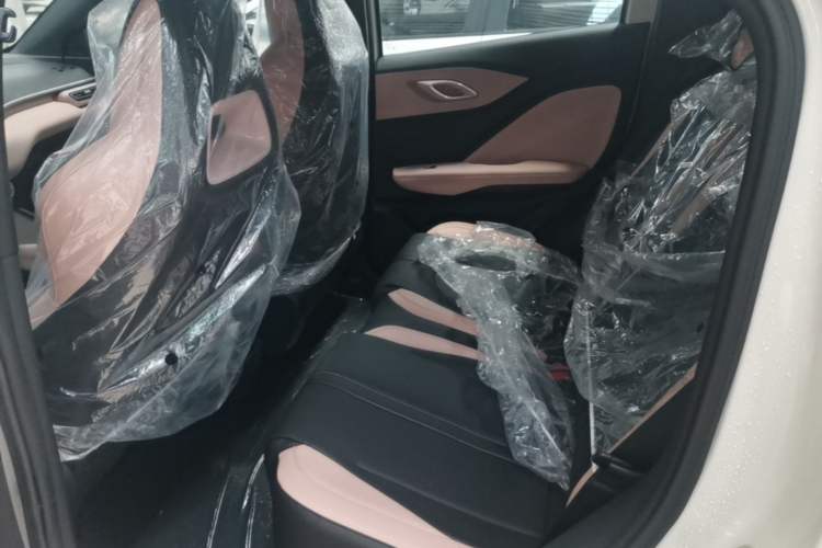 Used BYD Seagull 2025 Intelligent Driving Version 305 km Dynamic Edition Left Rear Seat