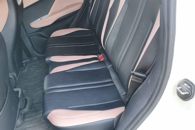 Used BYD Seagull 2025 Smart Drive Version 305 km Freedom Edition Left Rear Seat