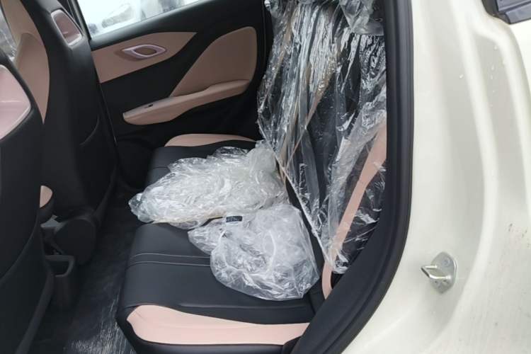 Used BYD Seagull 2025 Intelligent Driving Version 305 km Dynamic Edition Left Rear Seat
