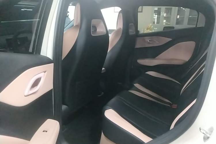 Used BYD Seagull 2025 Smart Drive Version 305 km Freedom Edition Left Rear Seat