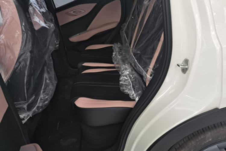 Used BYD Seagull 2025 Intelligent Driving Version 305 km Dynamic Edition Left Rear Seat