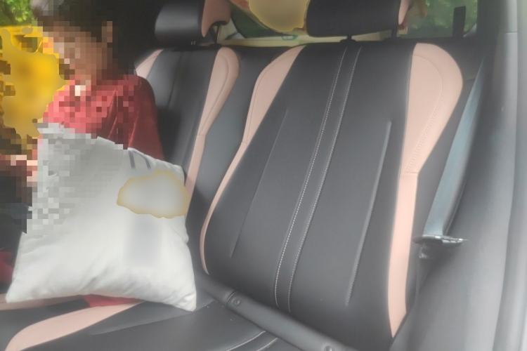 Used BYD Seagull 2025 305km Active Version Left Rear Seat