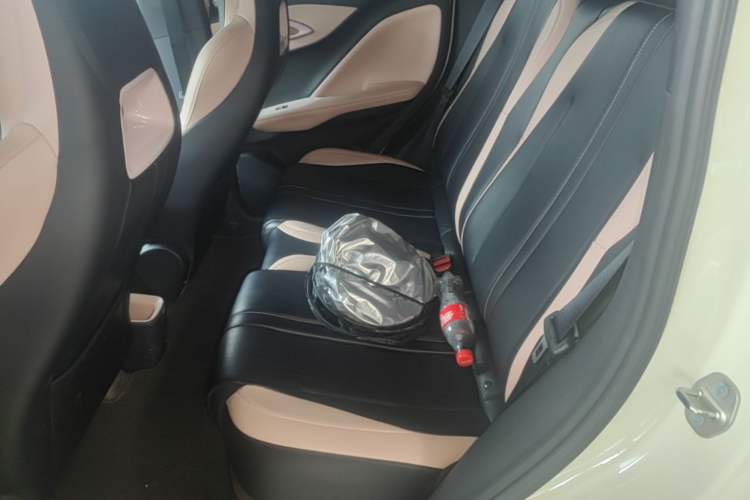 Used BYD Seagull 2025 305 km Free Version Left Rear Seat