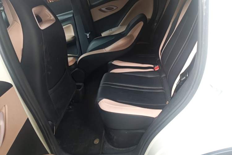 Used BYD Seagull 2025 Model Smart Drive Version 405km Free-Spirited Version Left Rear Seat