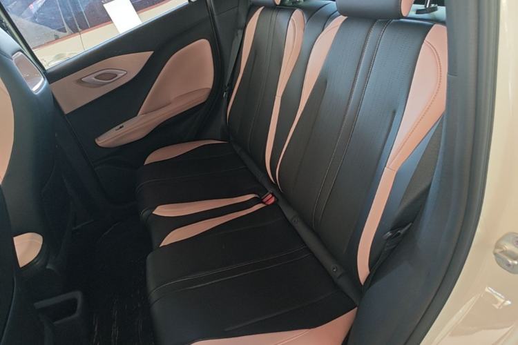 Used BYD Seagull 2025 305km Active Version Left Rear Seat