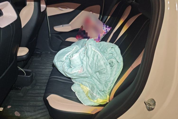 Used BYD Seagull 2025 405 km Flying Edition Left Rear Seat