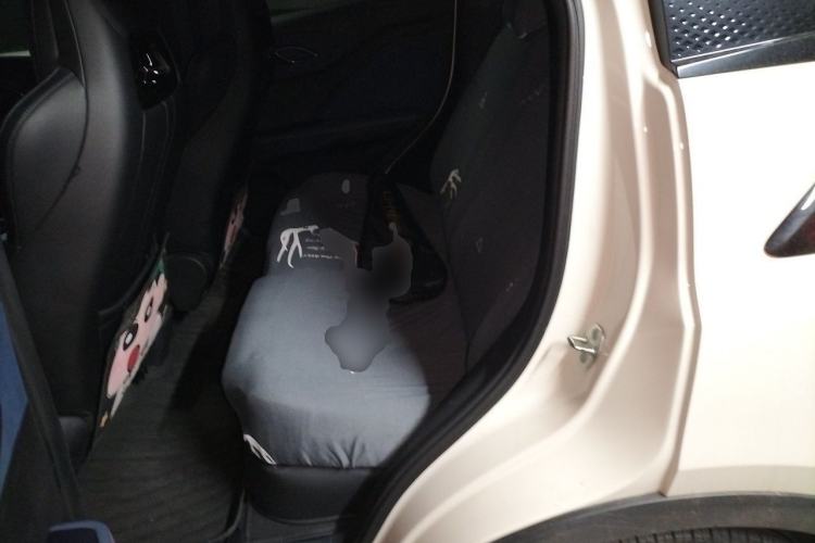 Used BYD Seagull 2025 405 km Flying Edition Left Rear Seat