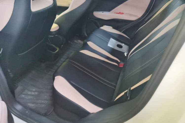 Used BYD Seagull 2025 305 km Free Version Left Rear Seat