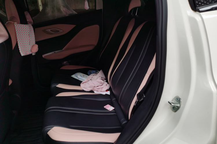 Used BYD Seagull 2025 305km Active Version Left Rear Seat